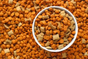 සුරතල් සතුන්