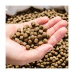 සිරස් ආහාර ඇසුරුම් යන්ත්රය