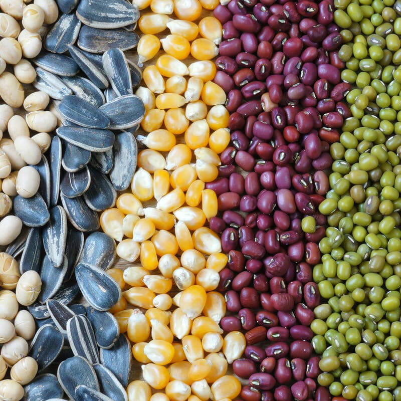 ස්වයංක්‍රීය බීජ ඇසුරුම් යන්ත්‍රය